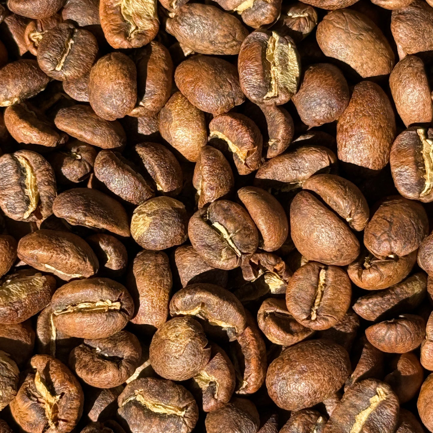 Mocca Coffee Tasting Pack — Specialty Coffee Selection